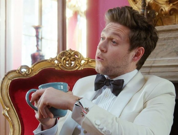 Niall Horan: Liczę, że ludzie wkręcą się w całą historię od A do Z... Niall Horan: Liczę, że ludzie wkręcą się w całą historię od A do Z...