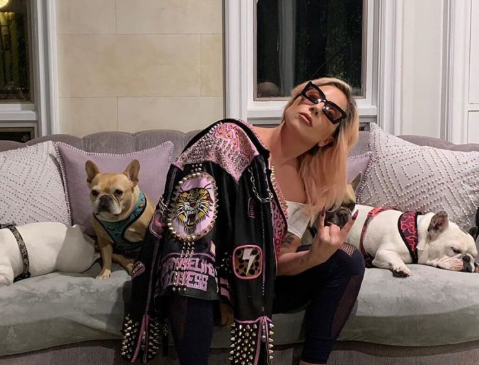 Lady Gaga przekazała bardzo smutną wiadomość. Fani w rozpaczy