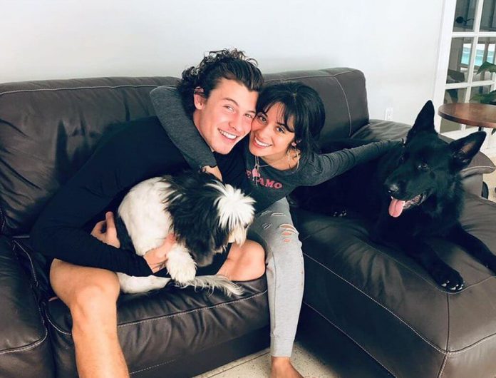 Camila Cabello i Shawn Mendes uczestniczą w proteście w Miami po śmierci George'a Floyda (WIDEO)