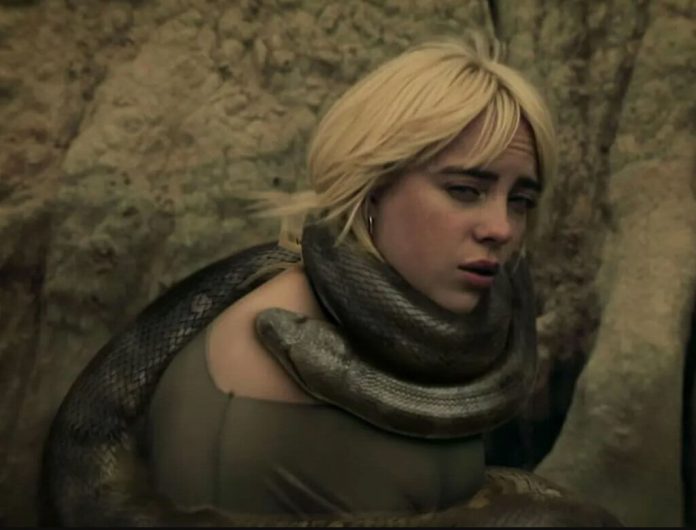 Billie Eilish z ponad 35-kilogramowym wężem. To mrozi krew w żyłach