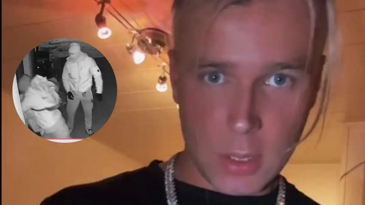 Dramat u Skolima! Monitoring nagrał włamywaczy. Artysta apeluje o pomoc