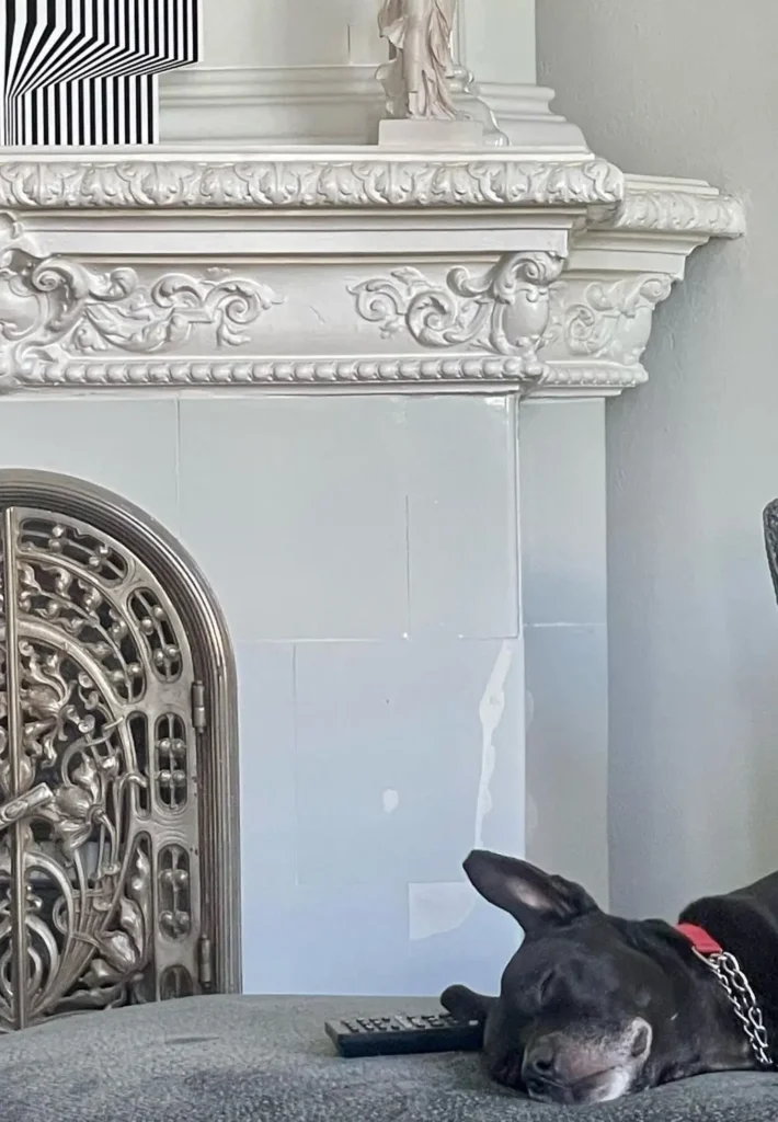 Tak wygląda mieszkanie Michała Szpaka