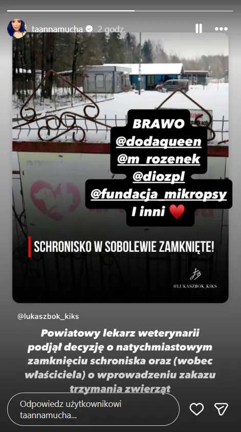 Gwiazdy komentują zamknięcie schroniska