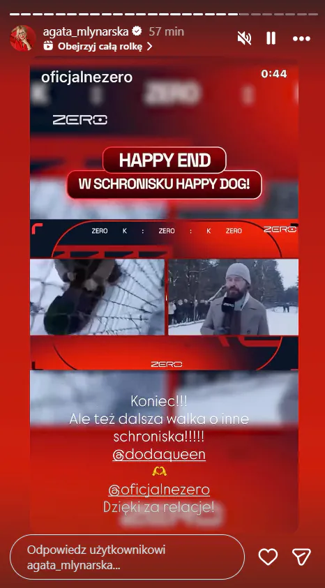 Gwiazdy komentują zamknięcie schroniska