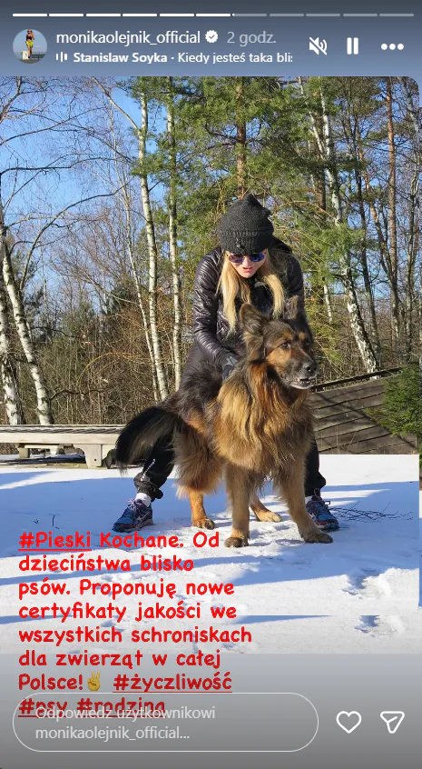 Gwiazdy komentują zamknięcie schroniska