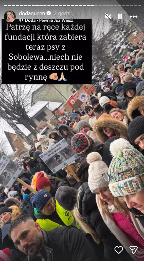 Gwiazdy komentują zamknięcie schroniska