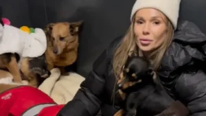 Doda nie odpuszcza. Spotkanie z władzami Bytomia odsłoniło niepokojące fakty