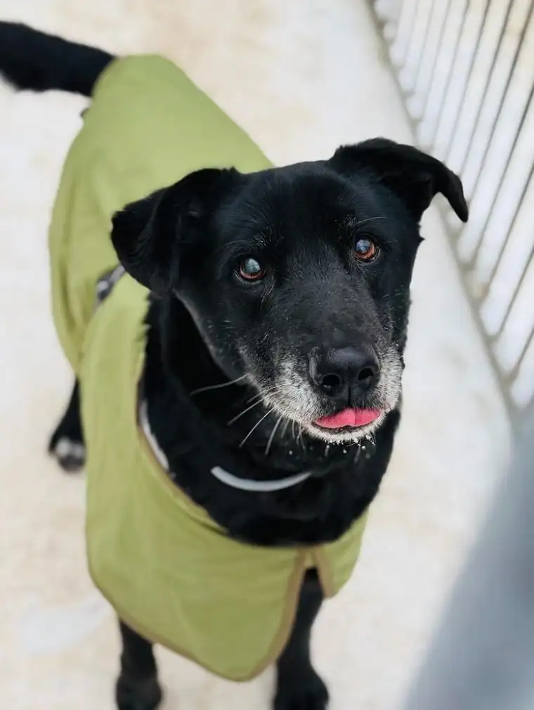 Takiej akcji jeszcze nie było