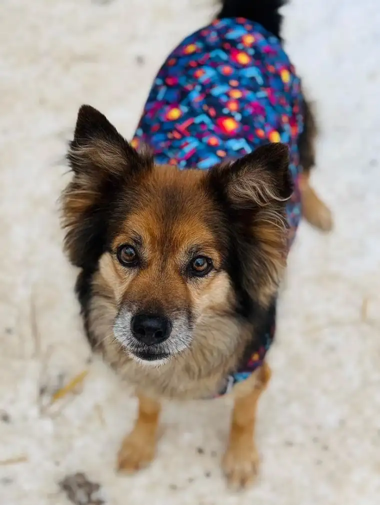 Takiej akcji jeszcze nie było