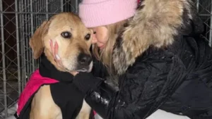 Doda reaguje na zarzuty o to, że chce się "wybielić", pomagając zwierzętom