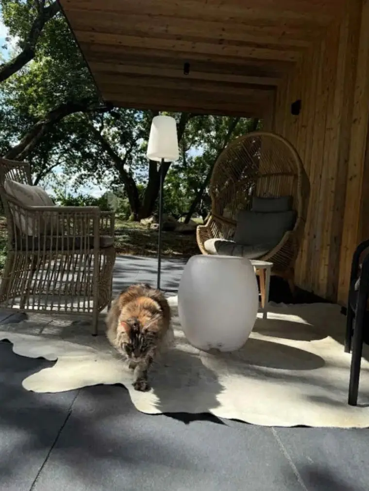 Leśna rezydencja Agnieszki Dygant. Tak dziś żyje gwiazda seriali