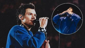 Harry Styles na Netflixie