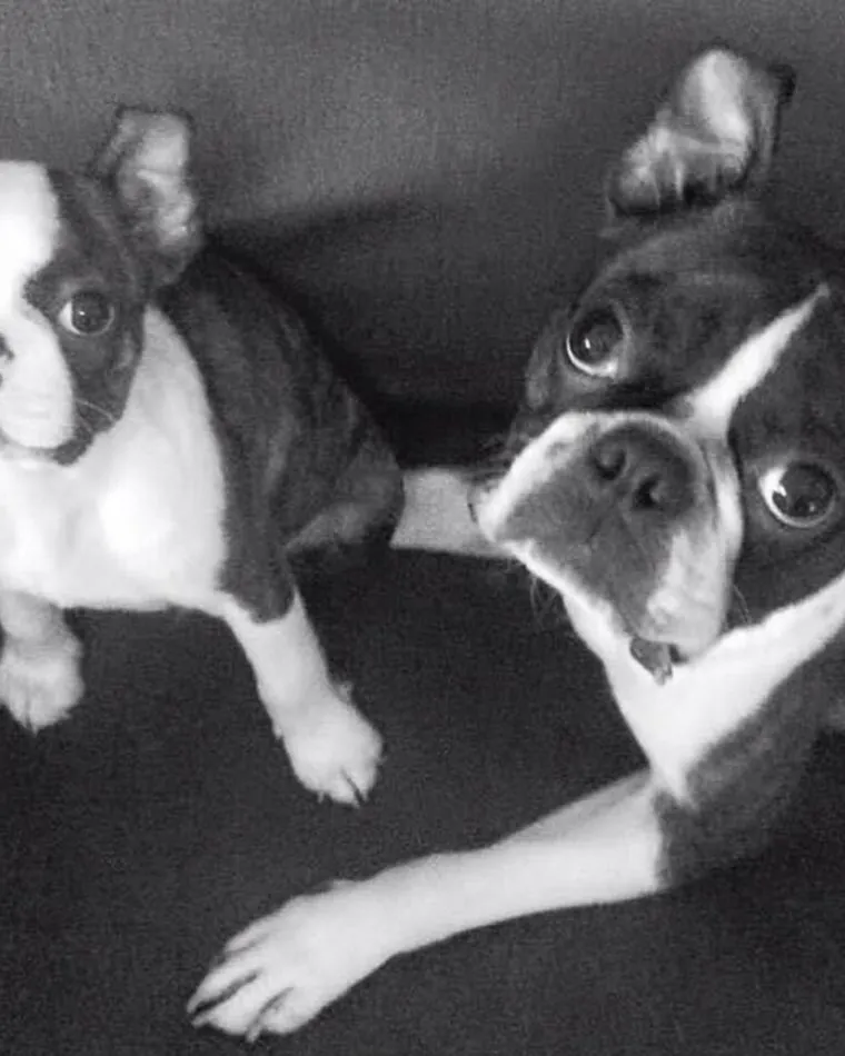 Dramat Dawida Kwiatkowskiego