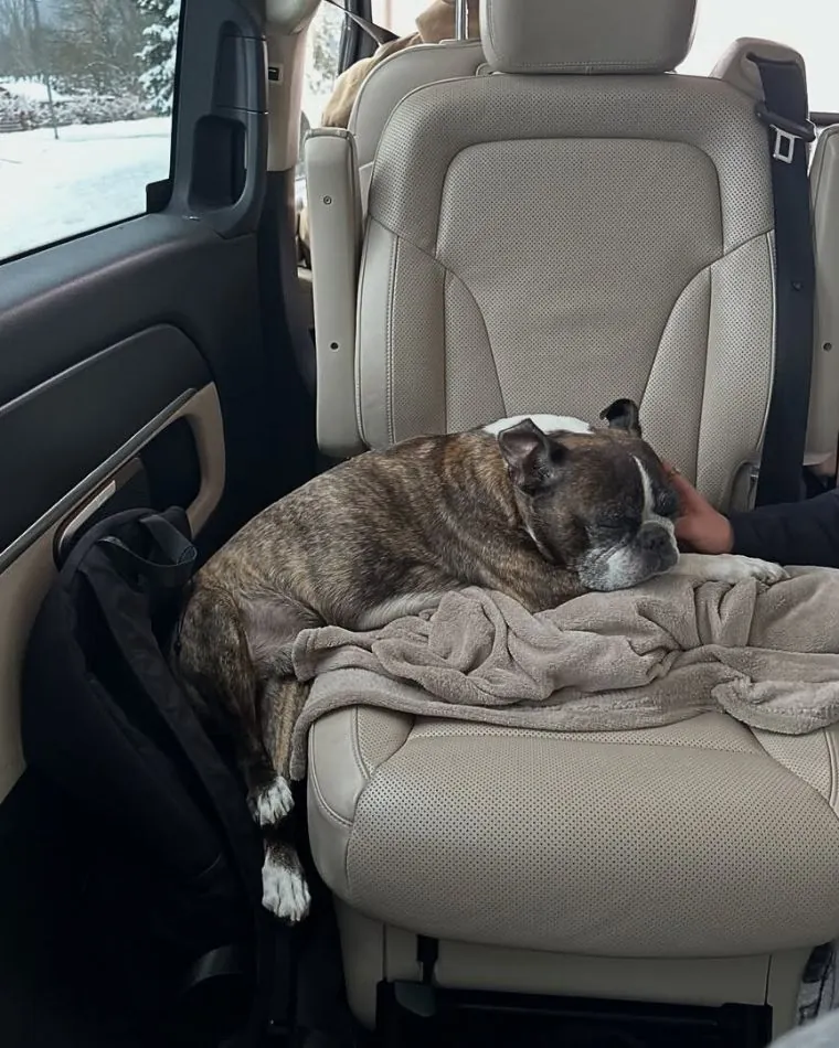 Dramat Dawida Kwiatkowskiego